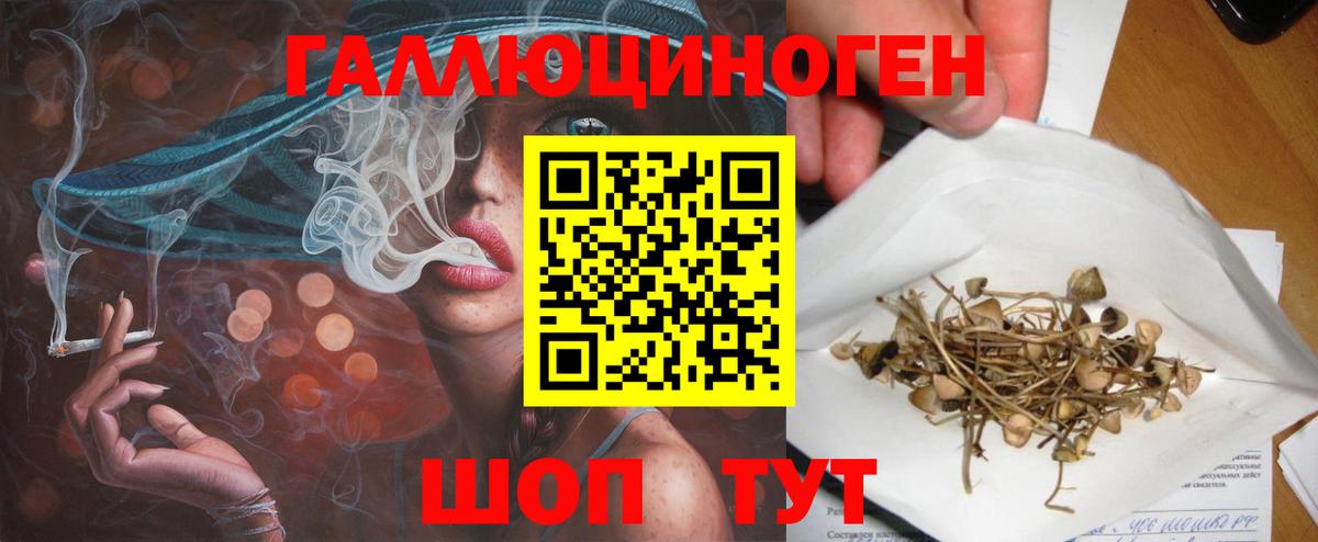 Урай  Псилоцибиновые грибы Cubensis  Вход с VPN 